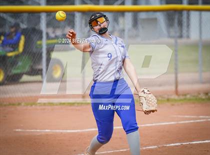 Thumbnail 3 in Dobson vs Sahuaro photogallery.