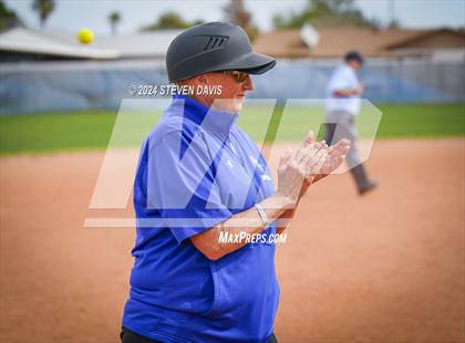 Thumbnail 2 in Dobson vs Sahuaro photogallery.
