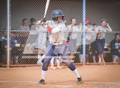 Thumbnail 3 in Dobson vs Sahuaro photogallery.