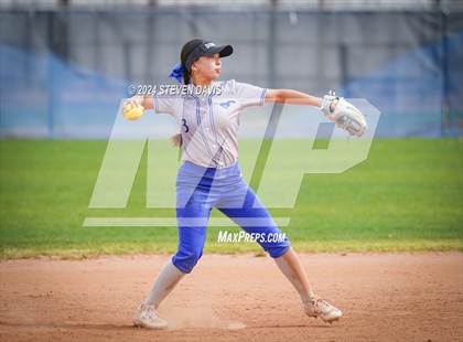 Thumbnail 3 in Dobson vs Sahuaro photogallery.