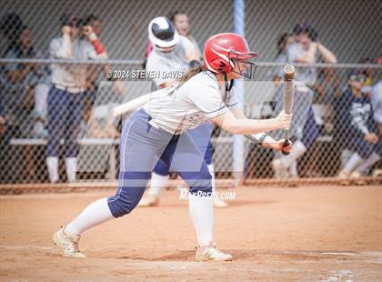 Thumbnail 2 in Dobson vs Sahuaro photogallery.