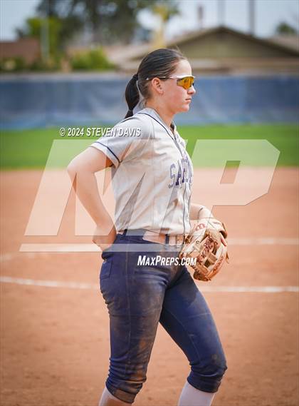 Thumbnail 3 in Dobson vs Sahuaro photogallery.