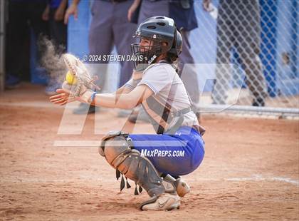 Thumbnail 3 in Dobson vs Sahuaro photogallery.