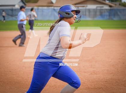 Thumbnail 3 in Dobson vs Sahuaro photogallery.