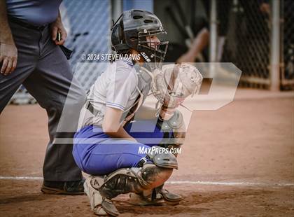 Thumbnail 2 in Dobson vs Sahuaro photogallery.