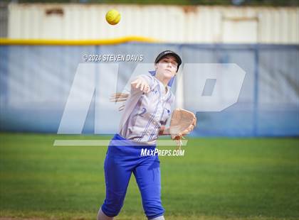 Thumbnail 3 in Dobson vs Sahuaro photogallery.