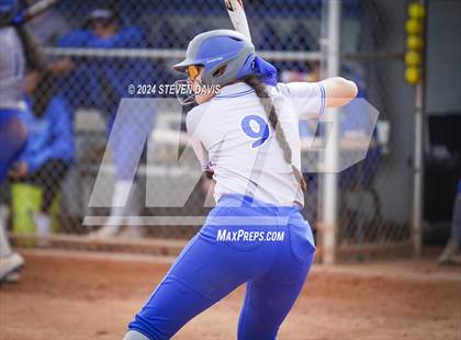 Thumbnail 3 in Dobson vs Sahuaro photogallery.