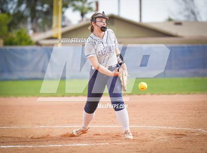 Thumbnail 3 in Dobson vs Sahuaro photogallery.