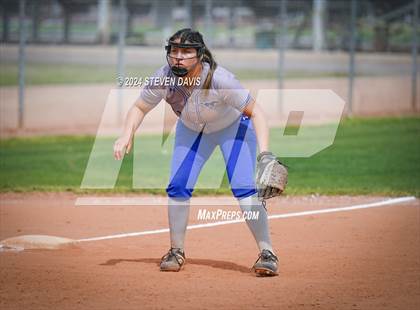 Thumbnail 3 in Dobson vs Sahuaro photogallery.