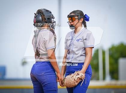 Thumbnail 3 in Dobson vs Sahuaro photogallery.