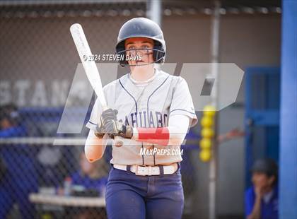 Thumbnail 2 in Dobson vs Sahuaro photogallery.