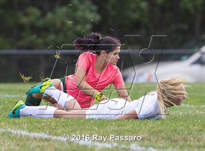 Thumbnail 3 in Longwood @ William Floyd photogallery.