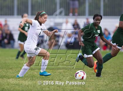 Thumbnail 1 in Longwood @ William Floyd photogallery.