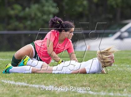 Thumbnail 1 in Longwood @ William Floyd photogallery.