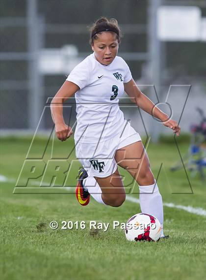 Thumbnail 2 in Longwood @ William Floyd photogallery.