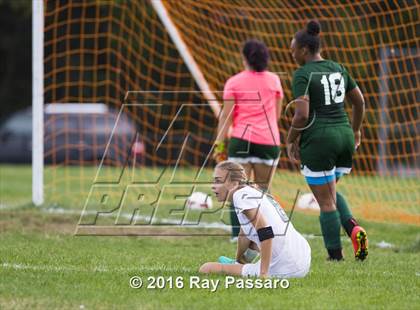 Thumbnail 1 in Longwood @ William Floyd photogallery.