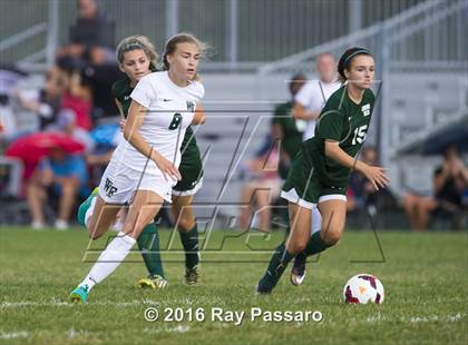 Thumbnail 2 in Longwood @ William Floyd photogallery.
