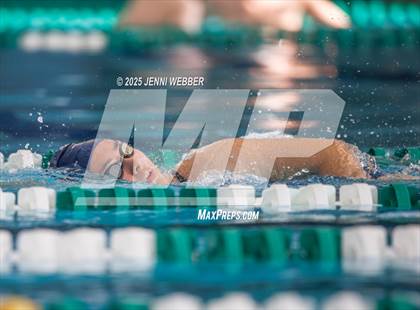 Thumbnail 1 in Pavilion Pool AM (March 29th Meet) photogallery.