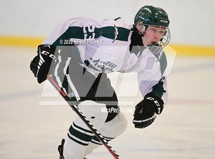 Thumbnail 3 in Housatonic/Northwestern/Wamogo @ New Milford photogallery.