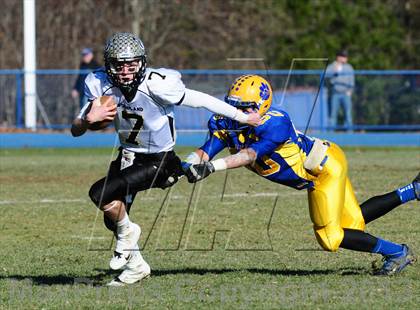 Thumbnail 3 in Woodland @ Seymour photogallery.