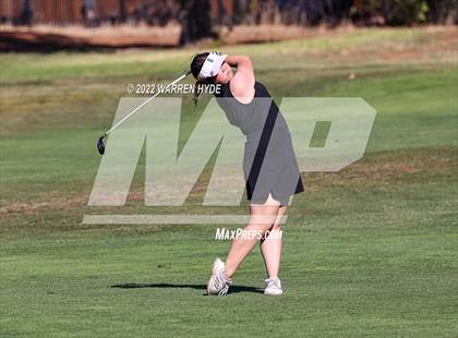 Thumbnail 3 in Sheldon @ Monterey Trail photogallery.