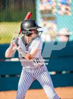 Photo from the gallery "Elk Grove @ Sheldon"