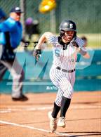 Photo from the gallery "Elk Grove @ Sheldon"