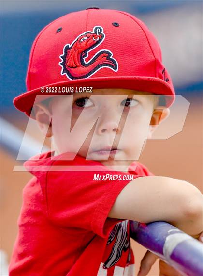 Thumbnail 2 in Fullerton vs. Tesoro (CIF SS DIV 4 Championship Final) photogallery.