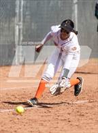 Photo from the gallery "Bishop Manogue @ Douglas"