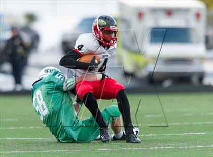 Thumbnail 3 in South Fayette vs. Imhotep Charter (PIAA Class AA Final) photogallery.