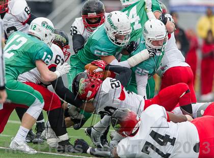 Thumbnail 2 in South Fayette vs. Imhotep Charter (PIAA Class AA Final) photogallery.