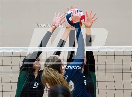 Thumbnail 2 in Pine Creek vs. Niwot (Mustang Classic Tournament) photogallery.