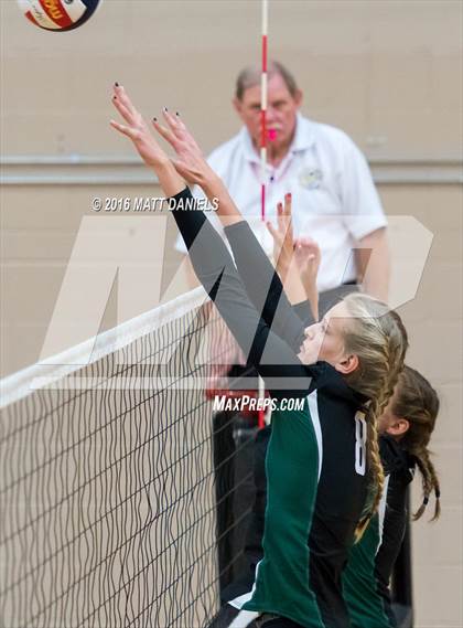 Thumbnail 2 in Pine Creek vs. Niwot (Mustang Classic Tournament) photogallery.