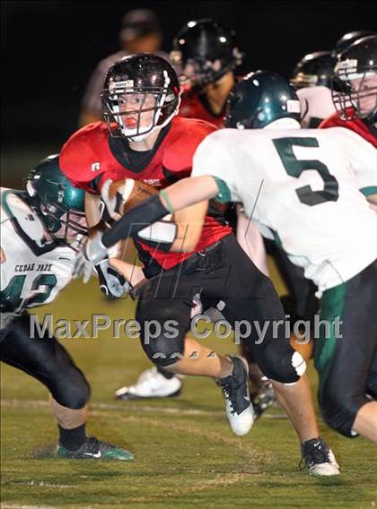 Thumbnail 3 in Cedar Park @ Vista Ridge photogallery.