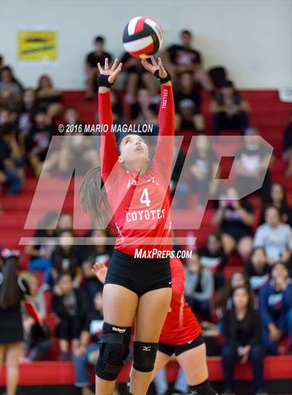 Thumbnail 1 in La Joya @ Palmview photogallery.