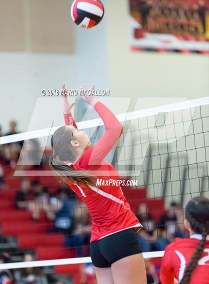 Thumbnail 3 in La Joya @ Palmview photogallery.