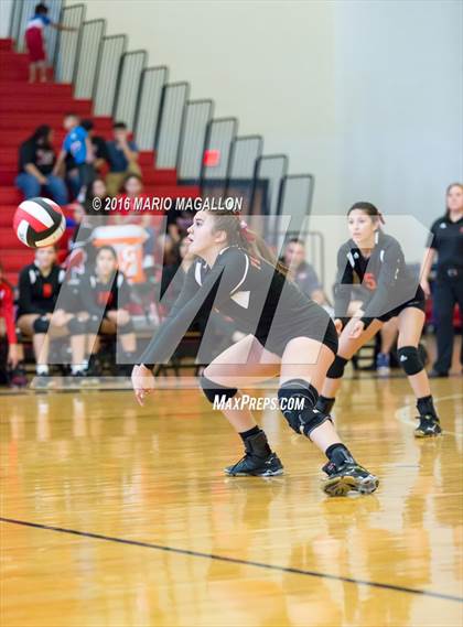 Thumbnail 2 in La Joya @ Palmview photogallery.