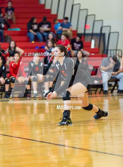 Thumbnail 3 in La Joya @ Palmview photogallery.