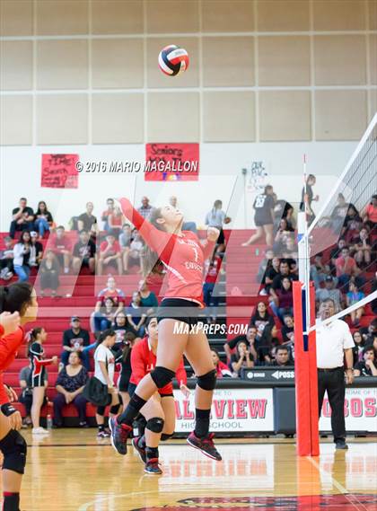 Thumbnail 2 in La Joya @ Palmview photogallery.
