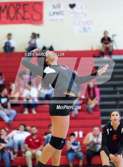 Thumbnail 3 in La Joya @ Palmview photogallery.