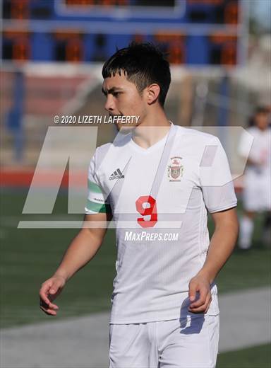null - Photo 01