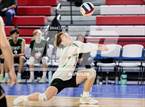 Photo from the gallery "Niwot vs Grandview (CHSAA 5A Round 2)"