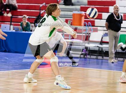 Thumbnail 3 in Niwot vs Grandview (CHSAA 5A Round 2) photogallery.