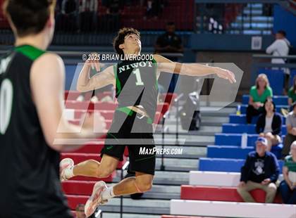 Thumbnail 2 in Niwot vs Grandview (CHSAA 5A Round 2) photogallery.