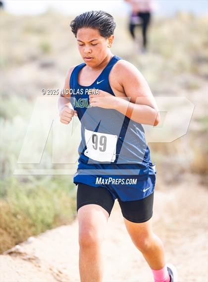 Thumbnail 2 in JV: 2025 APS Metro Championships photogallery.