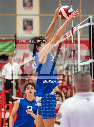 null - Photo 11