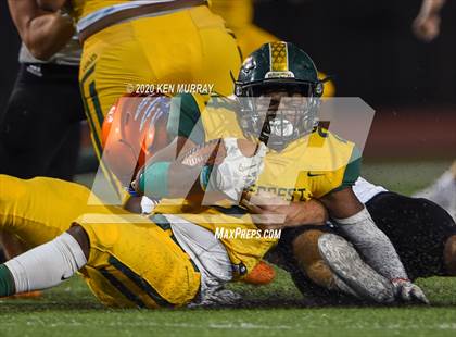 Thumbnail 3 in Grand Oaks vs Klein Forest photogallery.