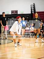 Photo from the gallery "Casa Grande @ Williams Field"