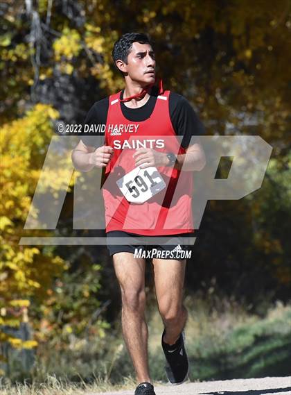 Thumbnail 1 in (CHSAA Regionals 3A) Region 5 Boys Cross Country photogallery.