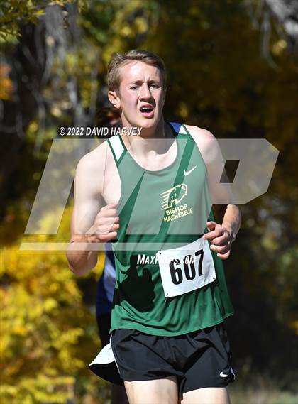 Thumbnail 2 in (CHSAA Regionals 3A) Region 5 Boys Cross Country photogallery.